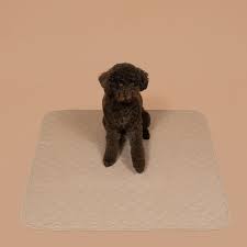 TRAINING PADS | Absorbent Training Pads For Puppies & Dogs, For Indoor Living & Travel