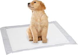 TRAINING PADS | Absorbent Training Pads For Puppies & Dogs, For Indoor Living & Travel